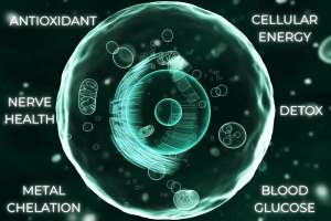 European Alpha Lipoic Acid: 5 Key Benefits for Whole-Body Antioxidant Support 