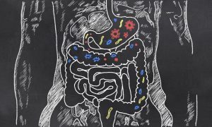 Intestines with Gut Bacteria illustrated on Blackboard, representing microbiome