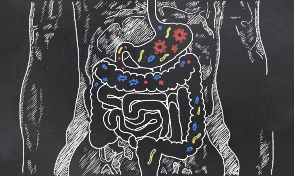 Gut Microbiome Repair: Rebuilding After Antibiotics 