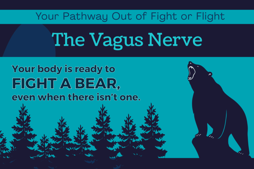 Your Pathway Out of Fight or Flight