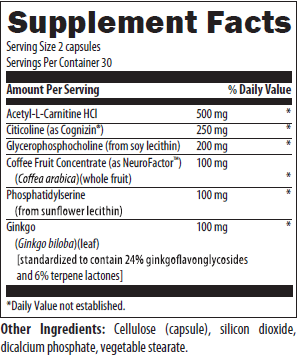 Cognitive Support 60 Capsules