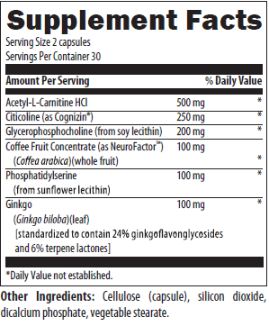 Cognitive Support 60 Capsules